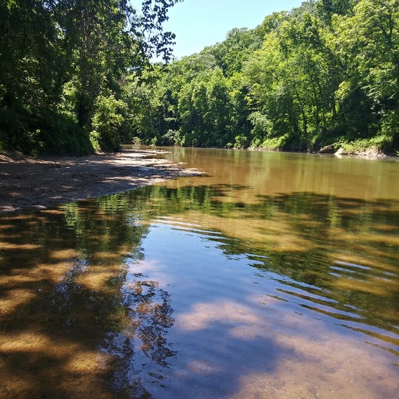 Meet your Posher, Greg - Picture 1 of 1